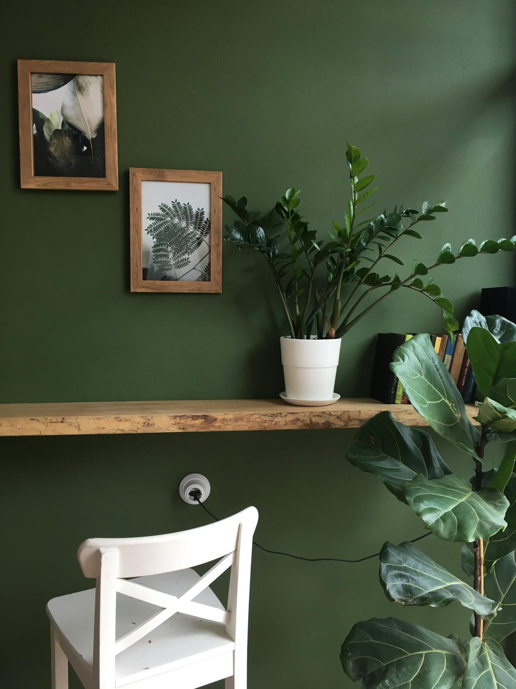 Green wall with framed art, a potted plant, and warm wood shelf