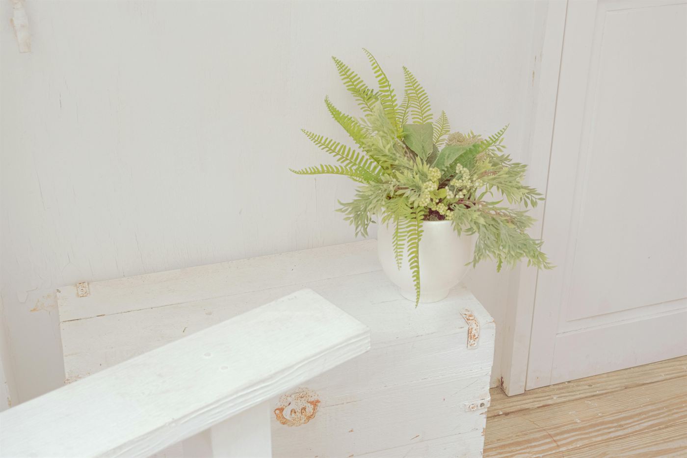 Fern foliage in a white pot on a pale surface