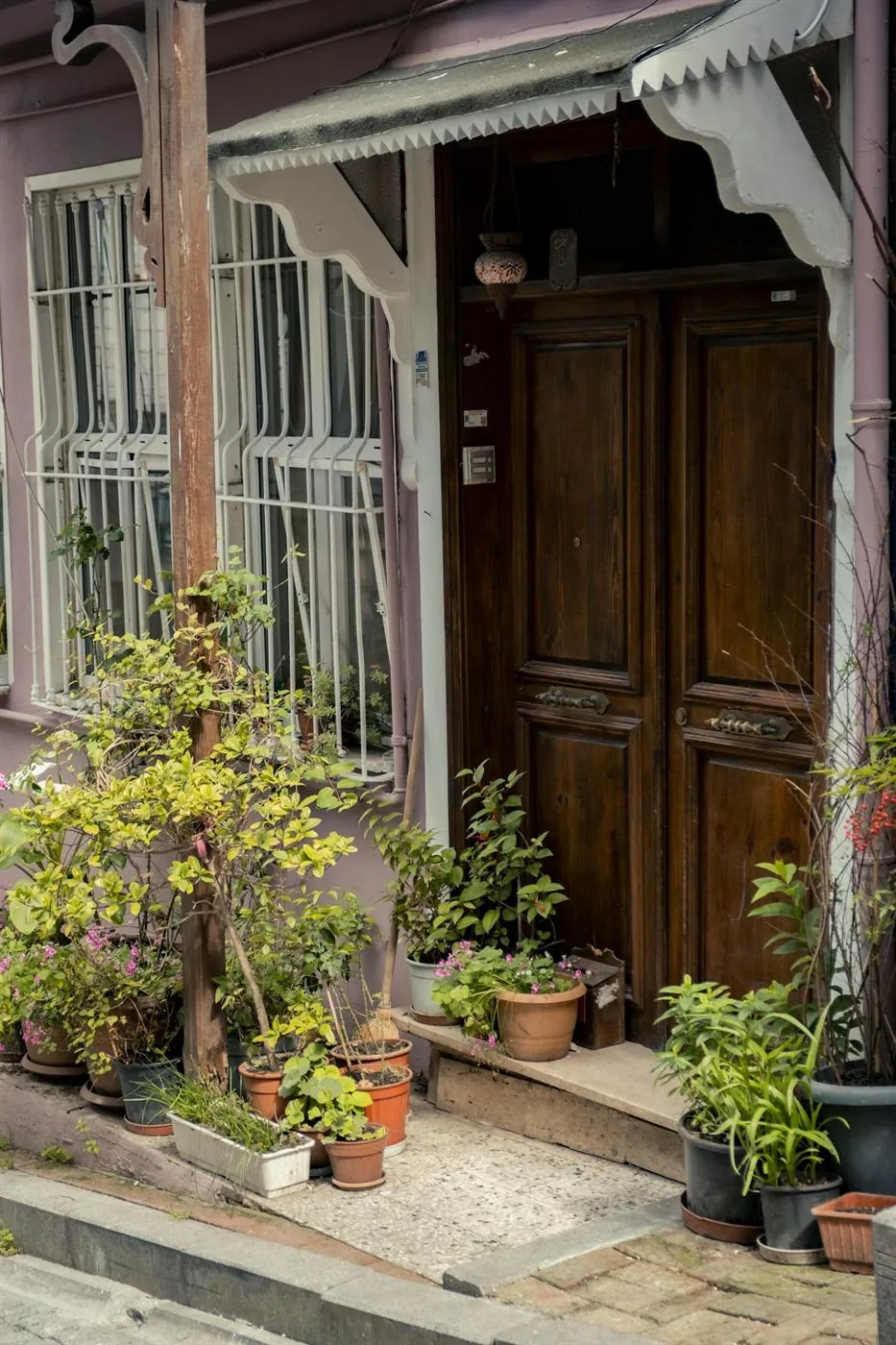 Front doorway surrounded by many small pots and mixed plant sizes