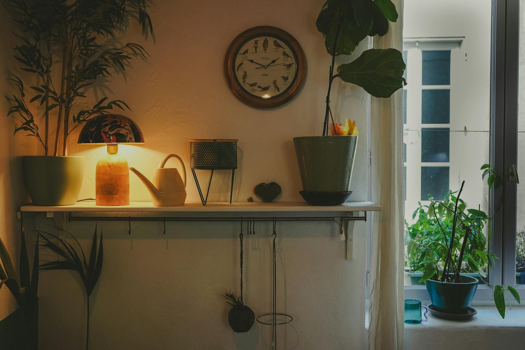 Warm lamp glowing on a shelf with several healthy plants and a brighter window nearby