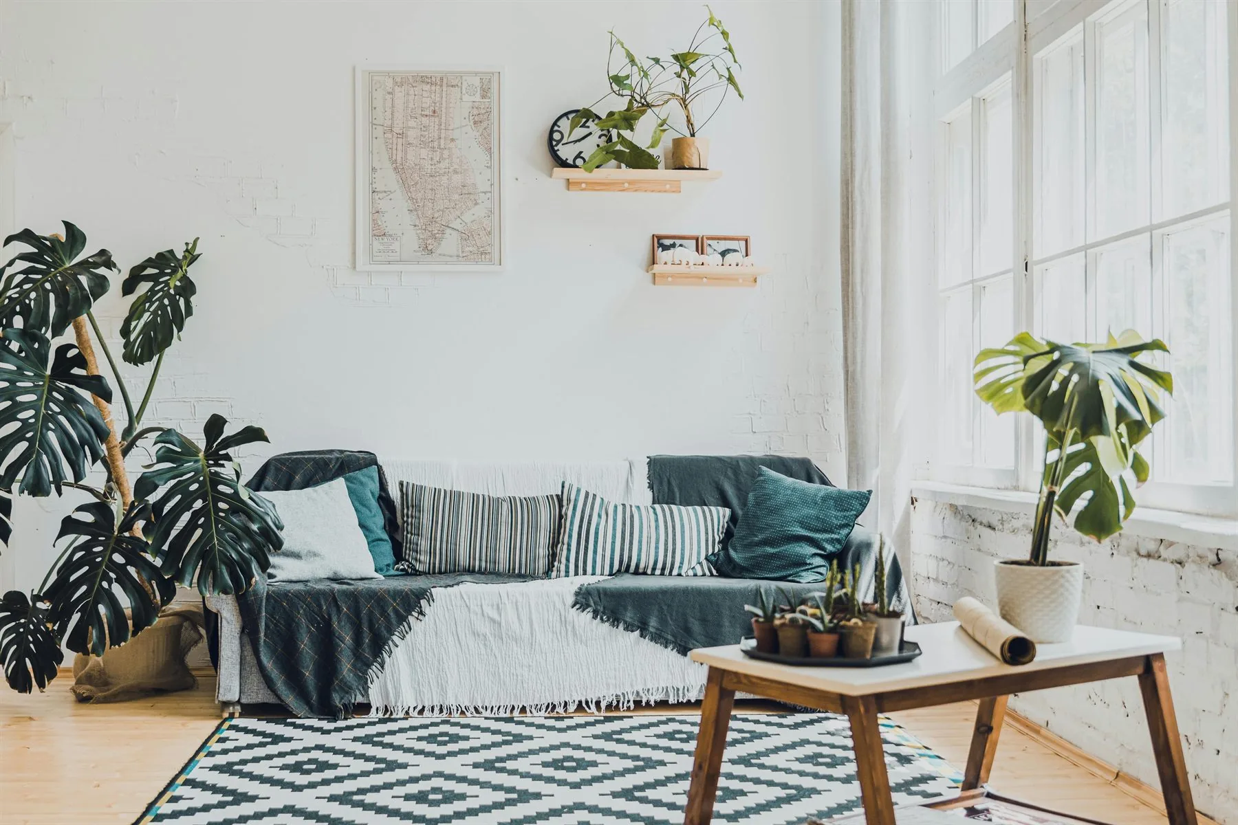 Bright living room with sofa, coffee table, patterned rug, and plants near the window