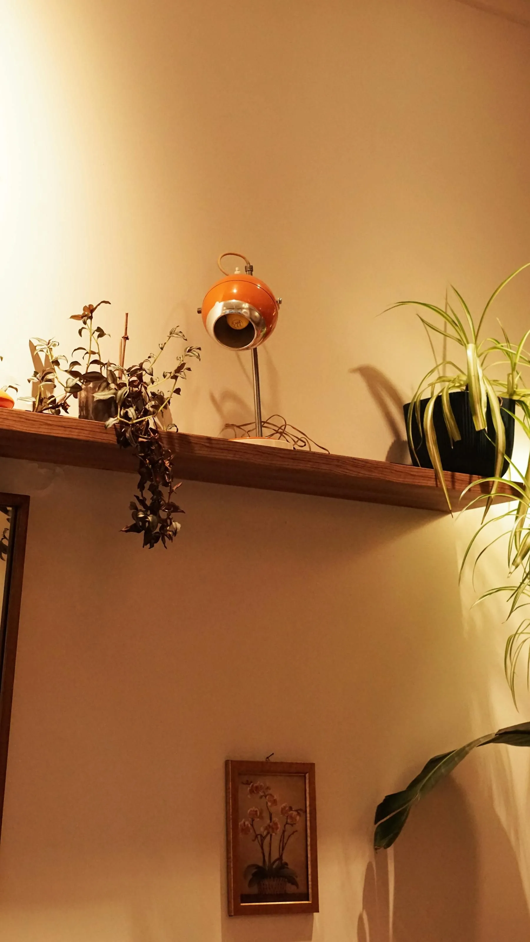 Warm shelf with plants, framed art, and one orange lamp creating a more cared-for corner