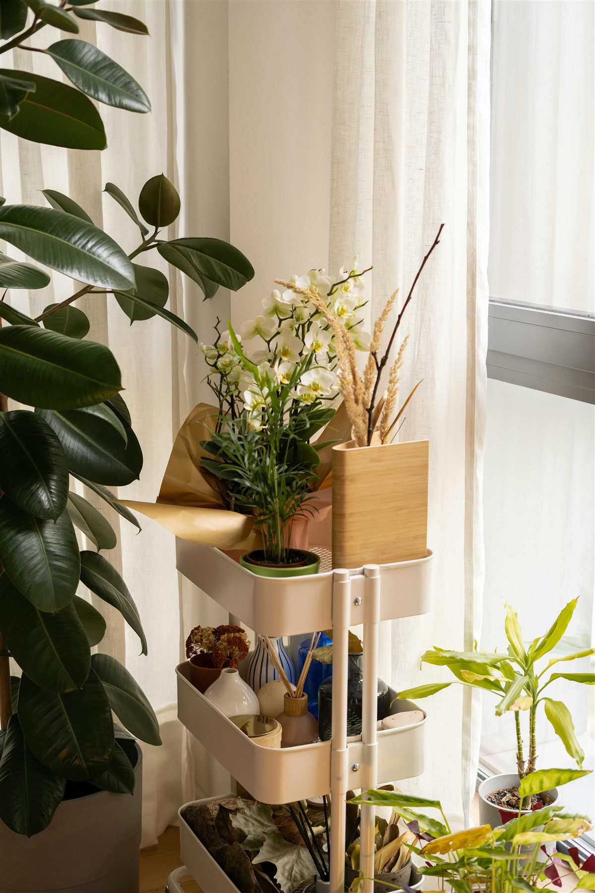 Styled bar cart or shelf with a healthy plant in warm natural light