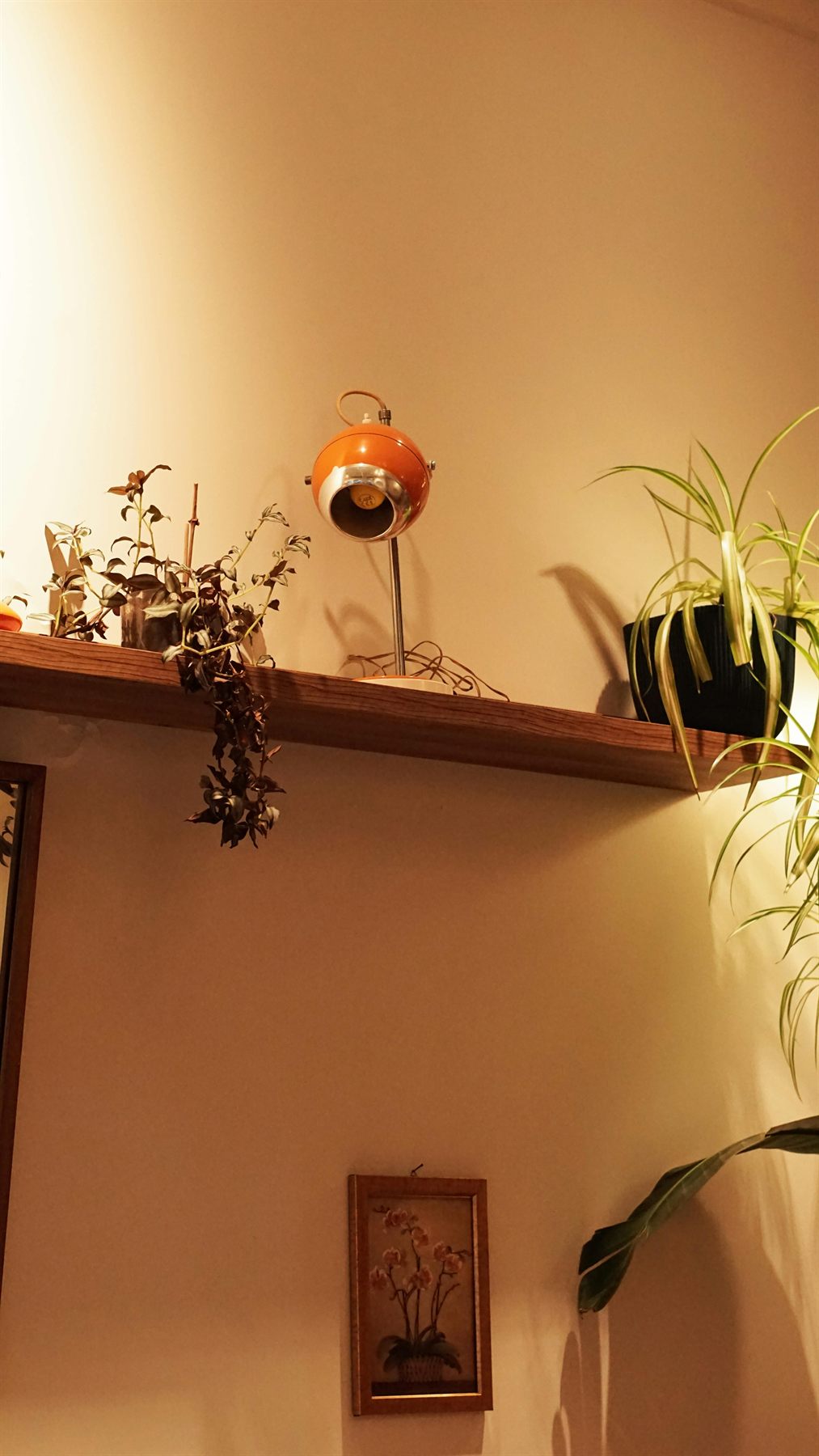 Warm shelf with lamp, plant, and edited decor in a softly lit room